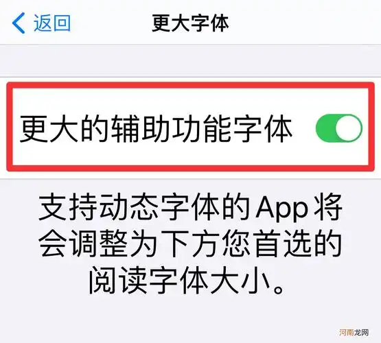 苹果手机字体大小怎么设置不了优质