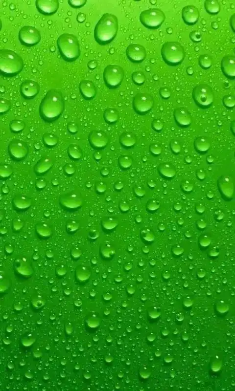 高清微信护眼图选一张当聊天背景图吧附24首养生音乐