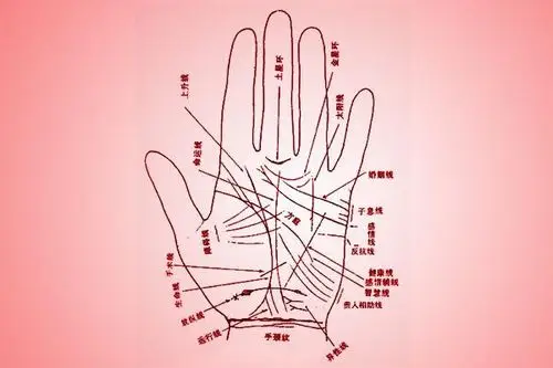 感情线分叉了说明了什么?