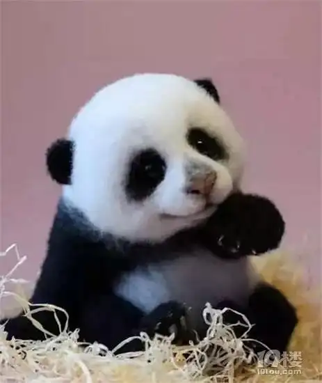 黑眼圈的小知识.