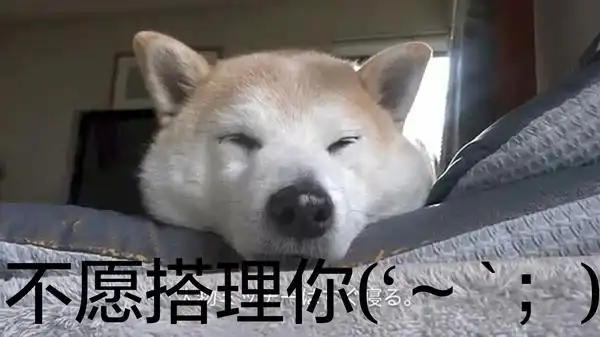 史上最全的doge表情包,伸手党不要错过