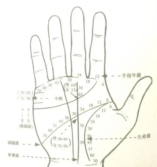 手相解读如何从手相上推算出每个年龄段的情况