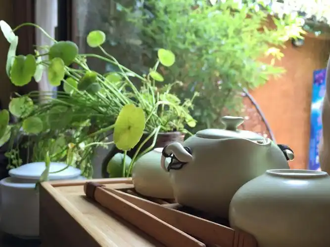 小私密,小独享,大理古城小庭院里的惬意小生活