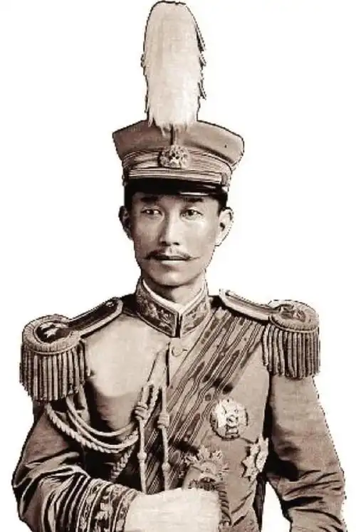 蔡锷病逝后,京城名伎小凤仙销声匿迹,直到1998年其家人解开谜团|梁启