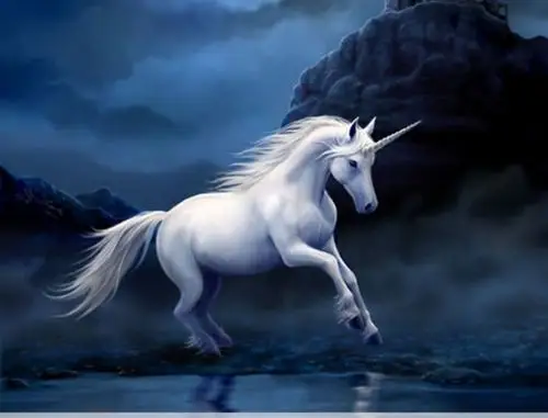 《神话传说——独角兽》---思恬