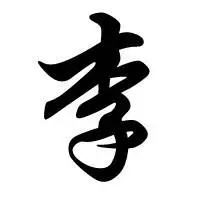 有谁能帮我做个"李"字的qq头像,最好是黑子,白背景,毛笔字,有意境点