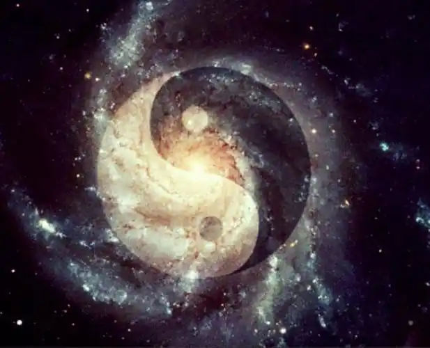 法国首篇博士论文论高等教育引入太极文化与太极拳