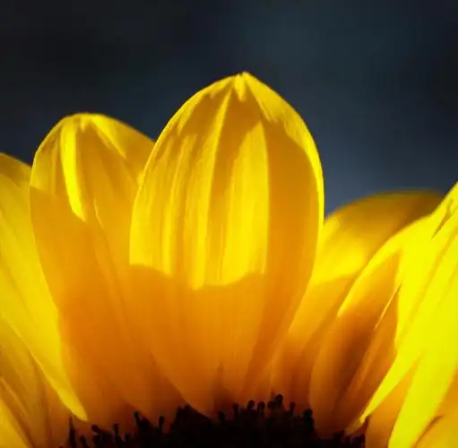 明明亮亮的快乐呀