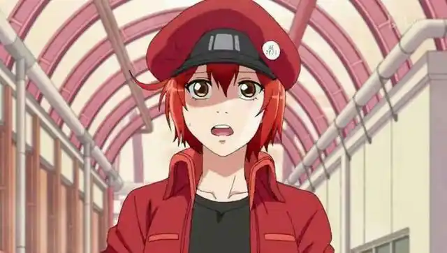 红细胞(红血球)