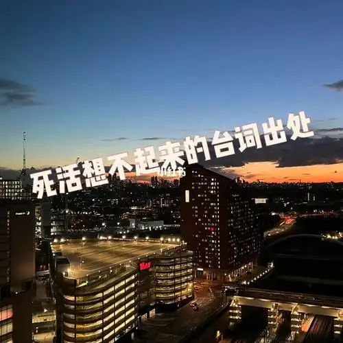 求求大家告诉我"我们就这样吧"女生台词出处