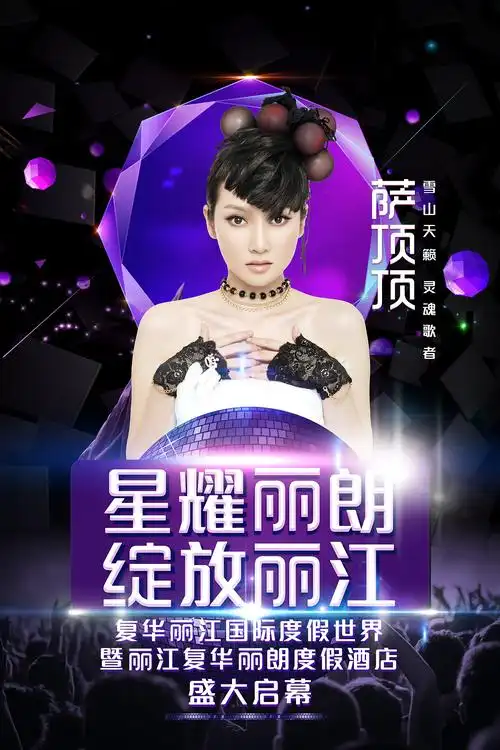 演唱会 丽江 明星现场海报