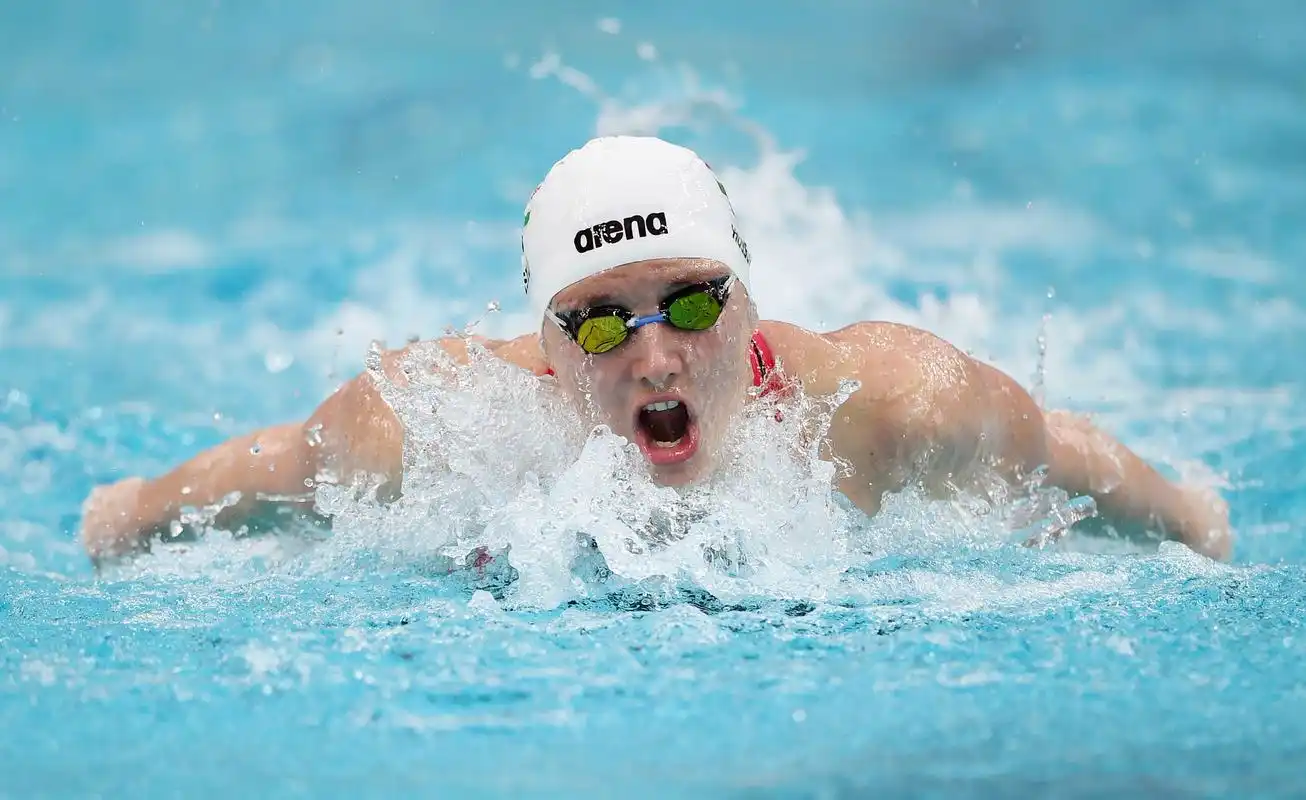 游泳——短池世界杯北京站首日赛况
