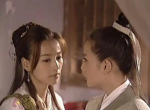 电视剧主要讲述的是在现代一个女警为了追一名小贼,两个人同时穿越去