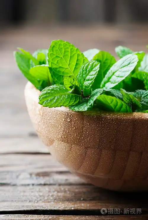 绿色新鲜薄荷照片-正版商用图片1mp8nm-摄图新视界