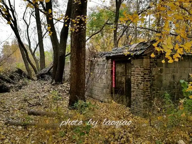 乡村秋天的景色(手机拍摄)