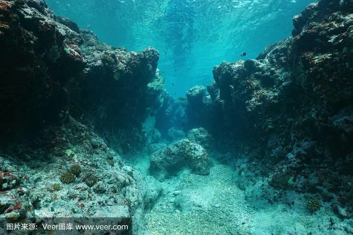 海底,岩石,水下,太平洋,海景
