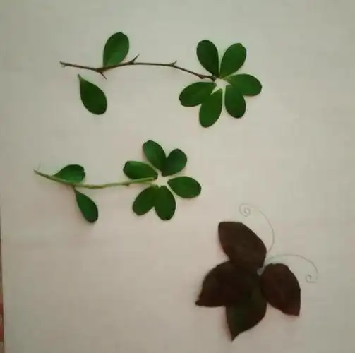 「树叶贴画」儿童手工树叶贴画 漂亮的风景