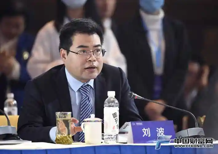 oppo中国区总裁刘波