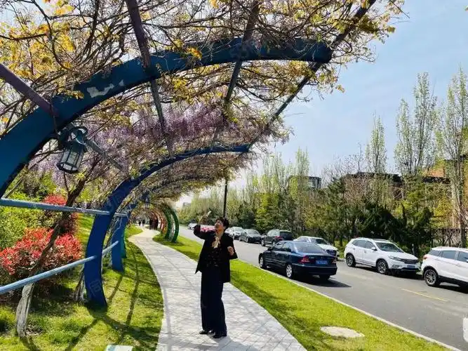 牟平龙湖紫云台10精装拎包入住可