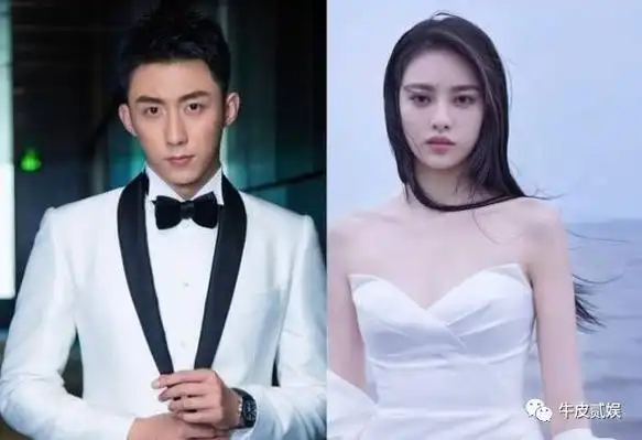 黄景瑜离婚证曝光知情人称他家暴前妻致其流产女方未来难生育