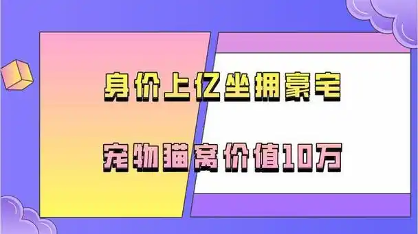 京圈富婆霍思燕手撕黄奕献媚王中磊私人飞机出行获杜江接盘