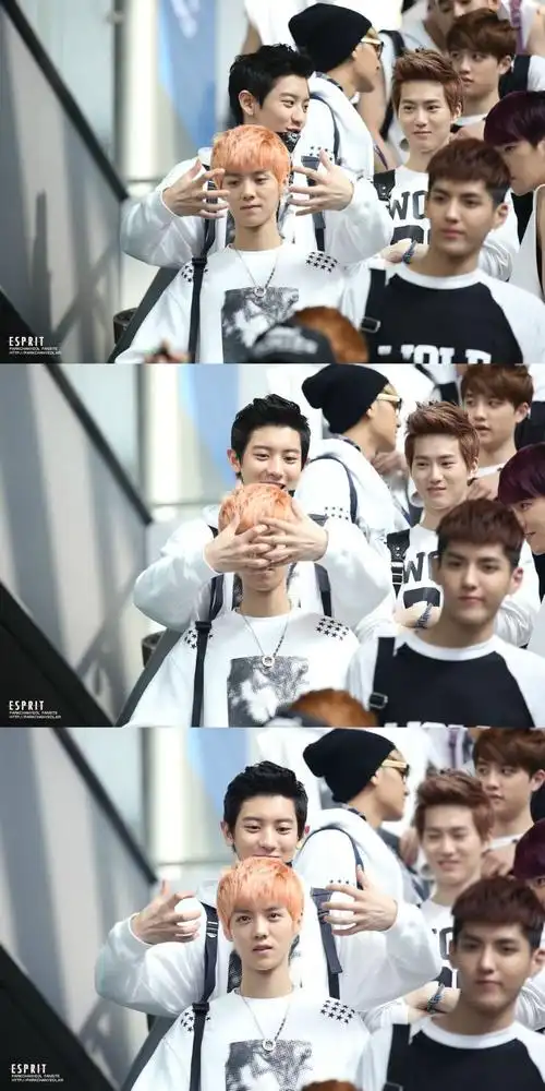 exo鹿晗朴灿烈灿鹿