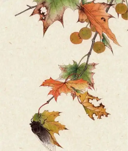 过完清明便入夏, 快来工笔把蝉画!