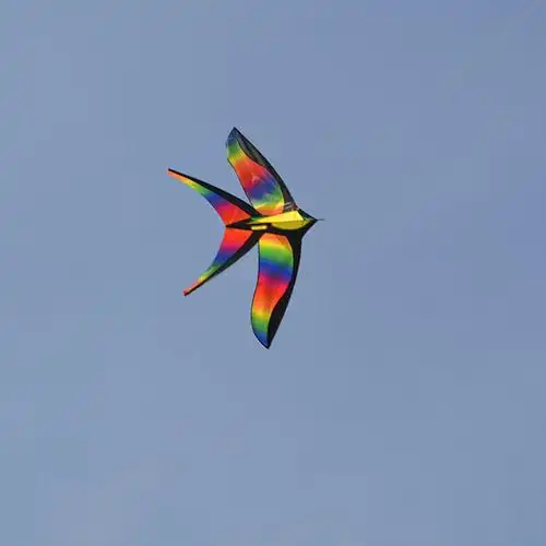 厂家批发彩虹变色小鸟风筝 直销暴力跑江湖炫彩1.8米风筝