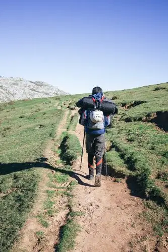 攀登,男人,背包,山,背面视角,走,小路,漂亮