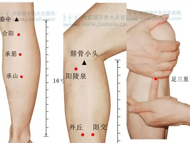 这样做,再也不用担心小腿前侧肌肉疼痛!