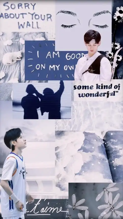 拼接壁纸丨张真源