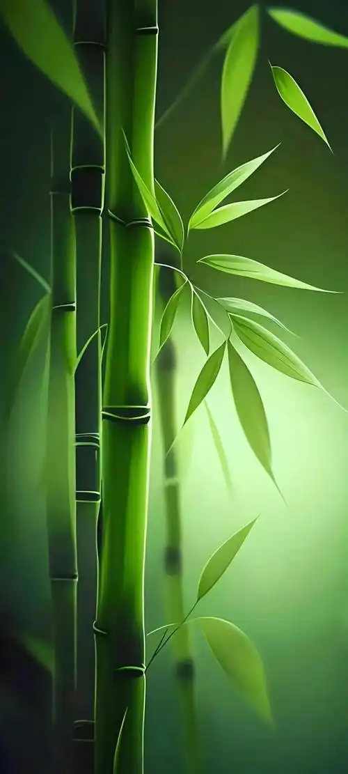 1080_2400竖版 竖屏