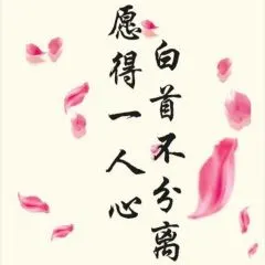 愿得一人心(originalmix)