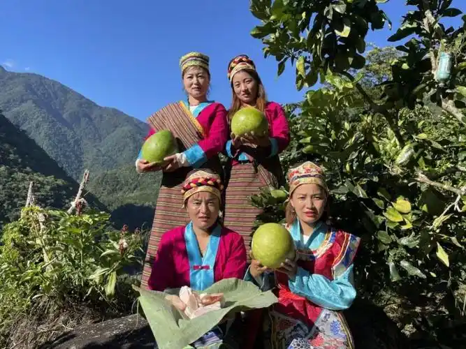 墨脱县米日蜜柚上市啦!快来尝一尝吧