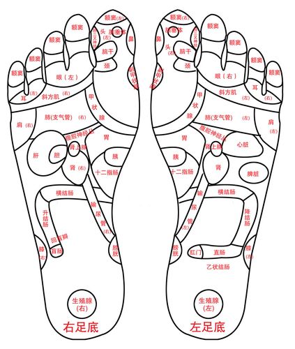 569海报印制海报展板素材346脚底的穴位 非高清图