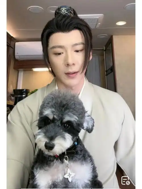 这个经纪人怎么回事