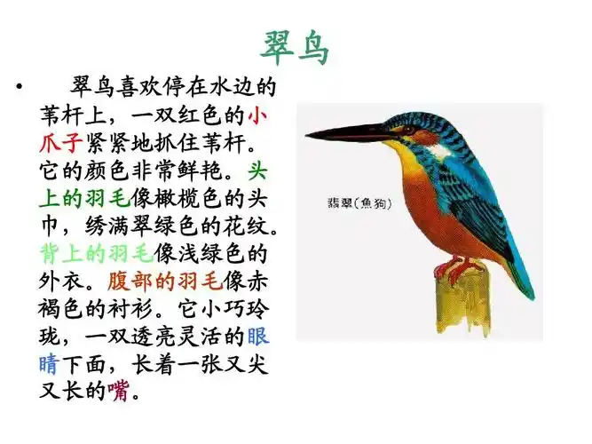 三年级六单元习作设计《小鸟》ppt