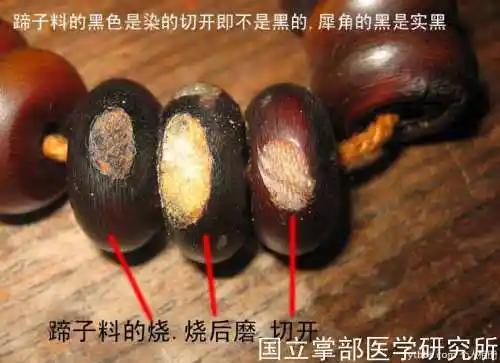 犀牛角的鉴别知识