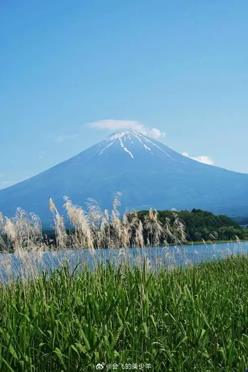 690_1035 竖版 竖屏