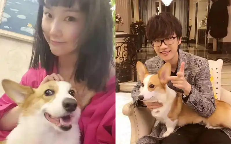 好事近黄龄自曝恋爱有男友网友喊话许嵩再续前缘