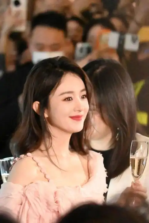 优雅大使赵丽颖