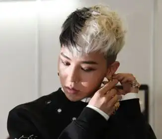 求bigbang,权志龙的半黑半白,半黑半粉的发型,求大量,十五分奖励!