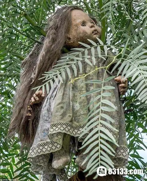 毛骨悚然的鬼娃娃揭开墨西哥娃娃岛背后的真实故事2