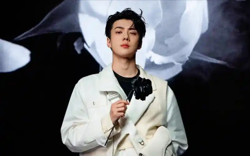 吴世勋w杂志迪奥新宣传diroman_哔哩哔哩_bilibili