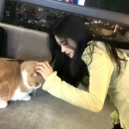 鞠婧祎晒随拍美照 与猫咪互动温柔满分