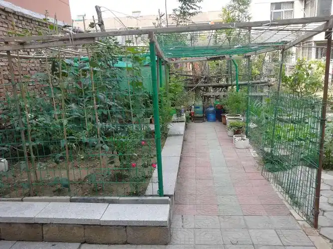 我的乐园～花园与菜园