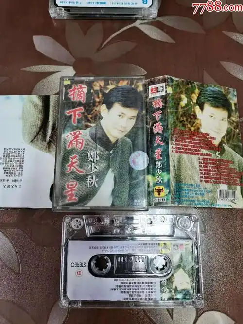 郑少秋摘下满天星