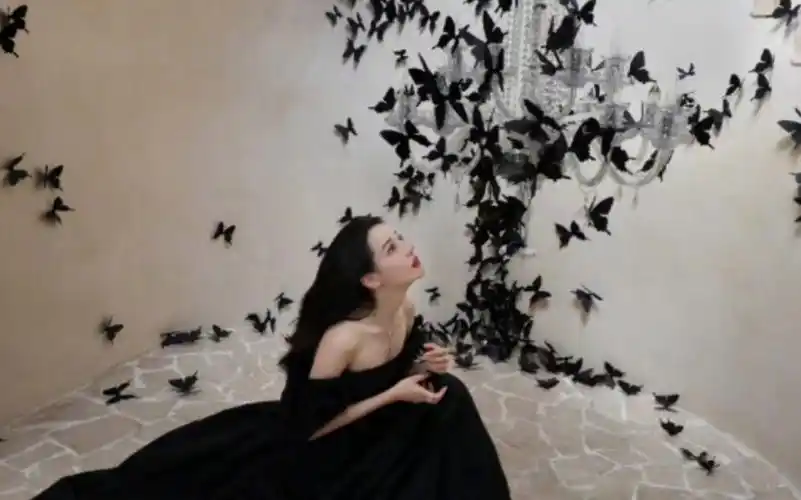 迪丽热巴 掌中之物 握紧折翼的蝴蝶.