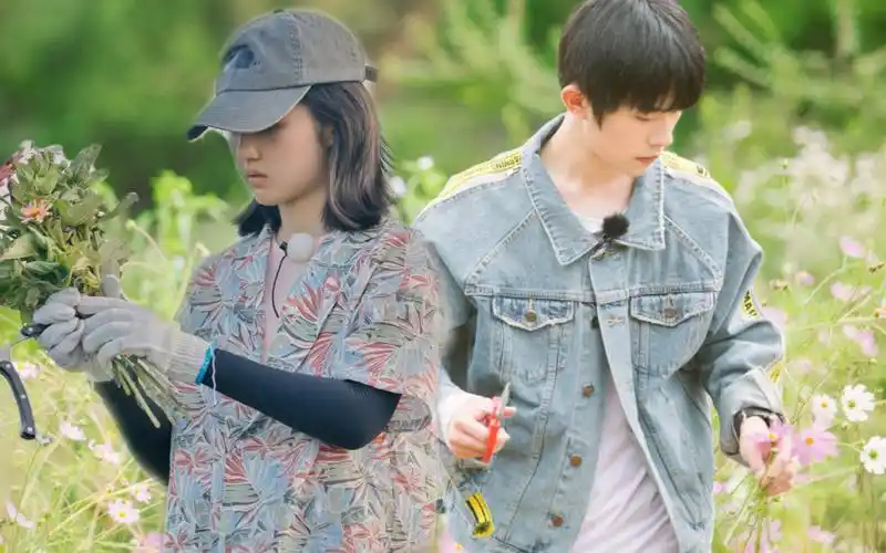 【千枫 | 易烊千玺×张子枫】 那就这样吧 be_哔哩哔哩_bilibili