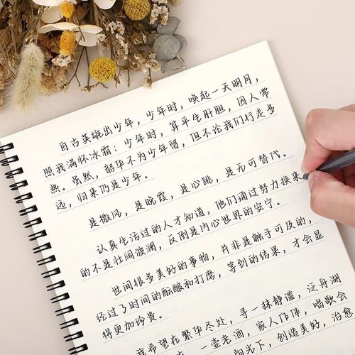 央视文案奶酪体练字帖行楷女生漂亮字体临摹成年人初高中大学手写